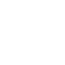 Blaze